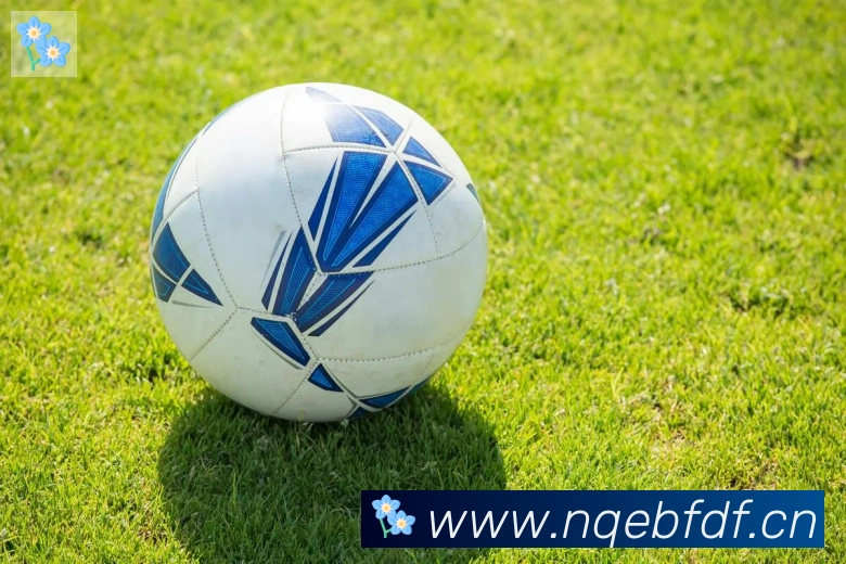 我与擂台赛四十年征文咫尺方枰间的赤子情怀